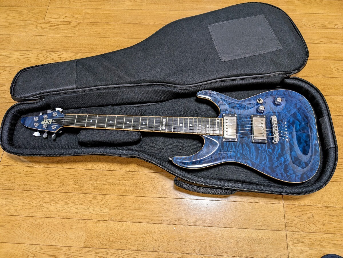 [ hard-to-find ]ESP ho laizn Brett *ga-sdo signature ESP HORIZON Brett Garsed Signature