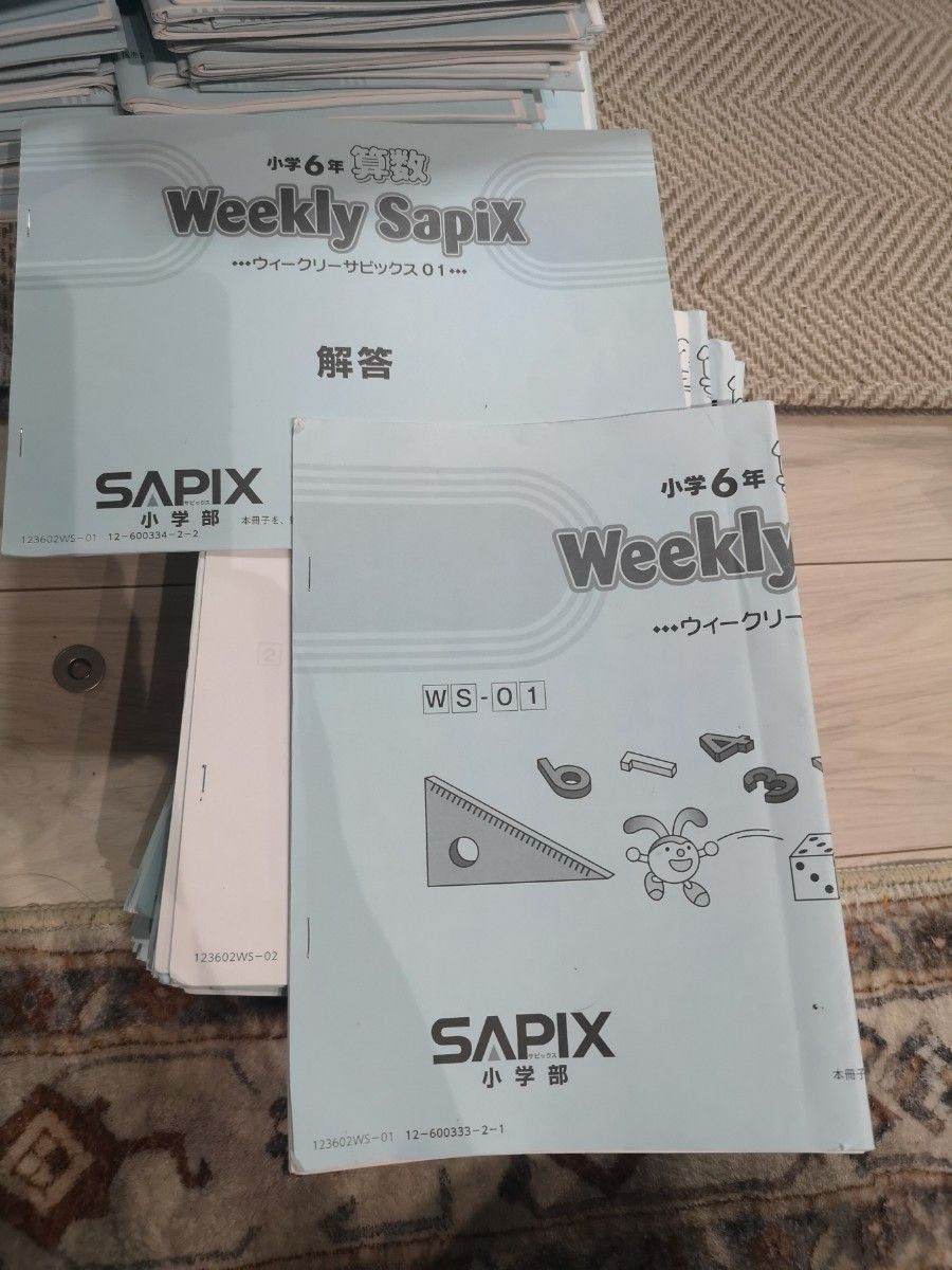 sapix 6年 2023年 算数 デイリーサピックス+デイリーサポート+ sapix 6年 2023年 算数 デイリーサピックス+デイリーサポート+