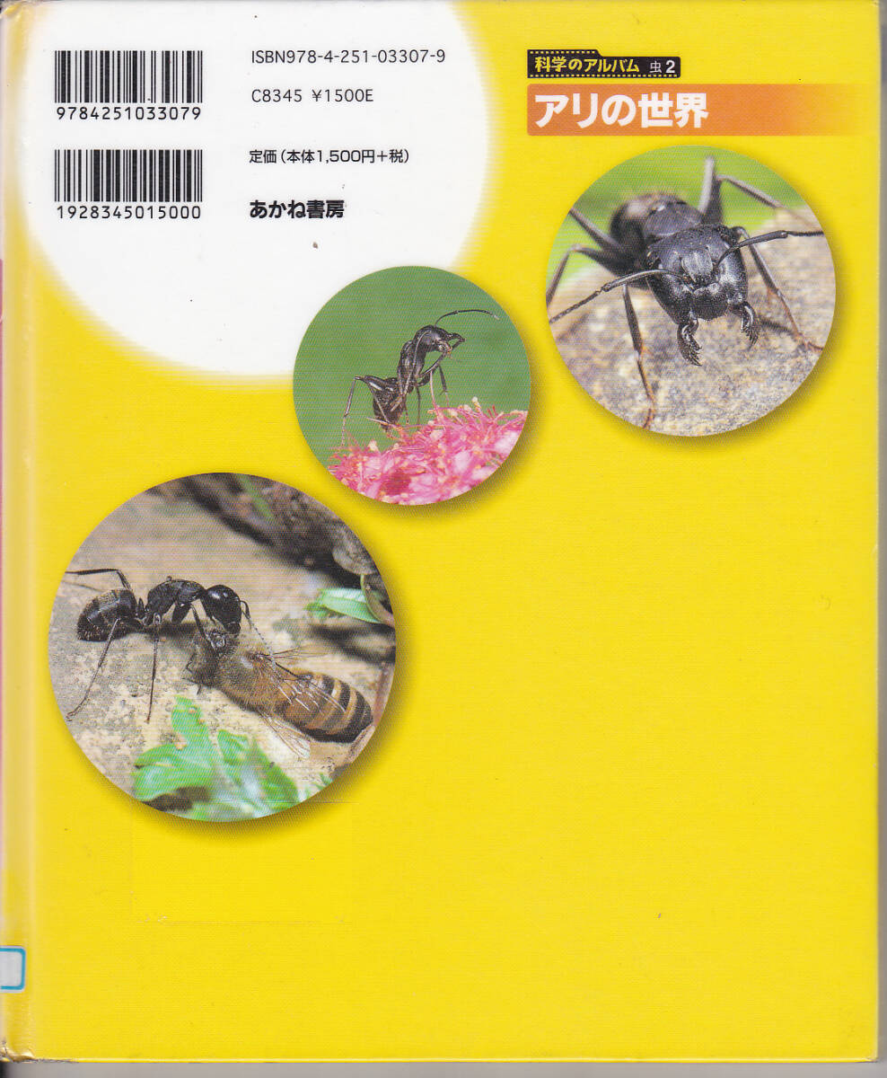 R099【送料込み】あかね書房 科学のアルバム「アリの世界」(図書館のリサイクル本)