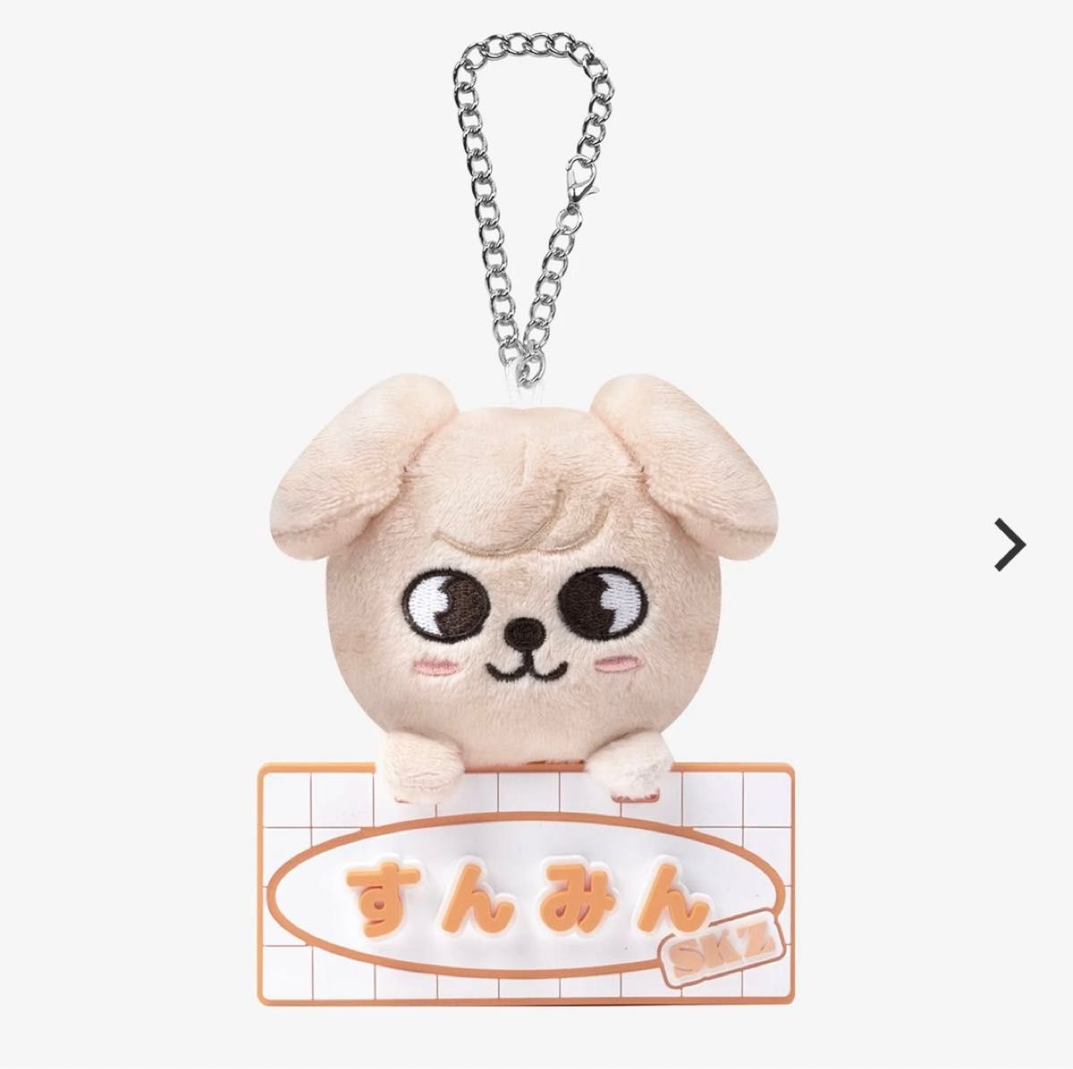 skzoo ネームバックチャーム PuppyM スンミン StrayKids スキズ skzoo ネームバックチャーム PuppyM スンミン StrayKids スキズ