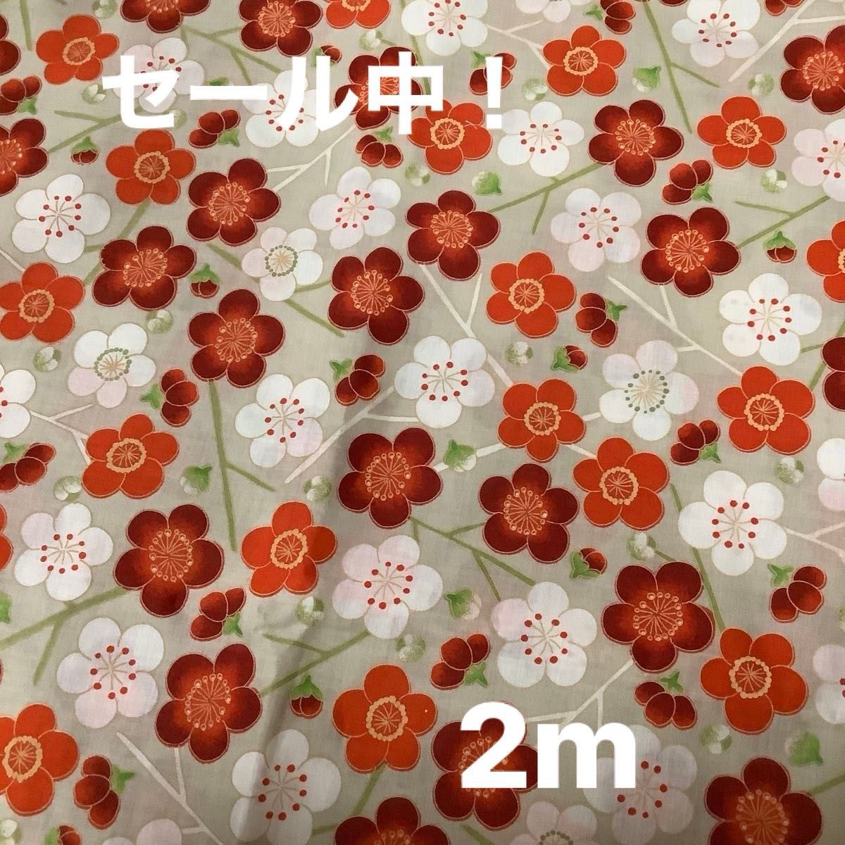 和柄生地　110㎝巾　2m