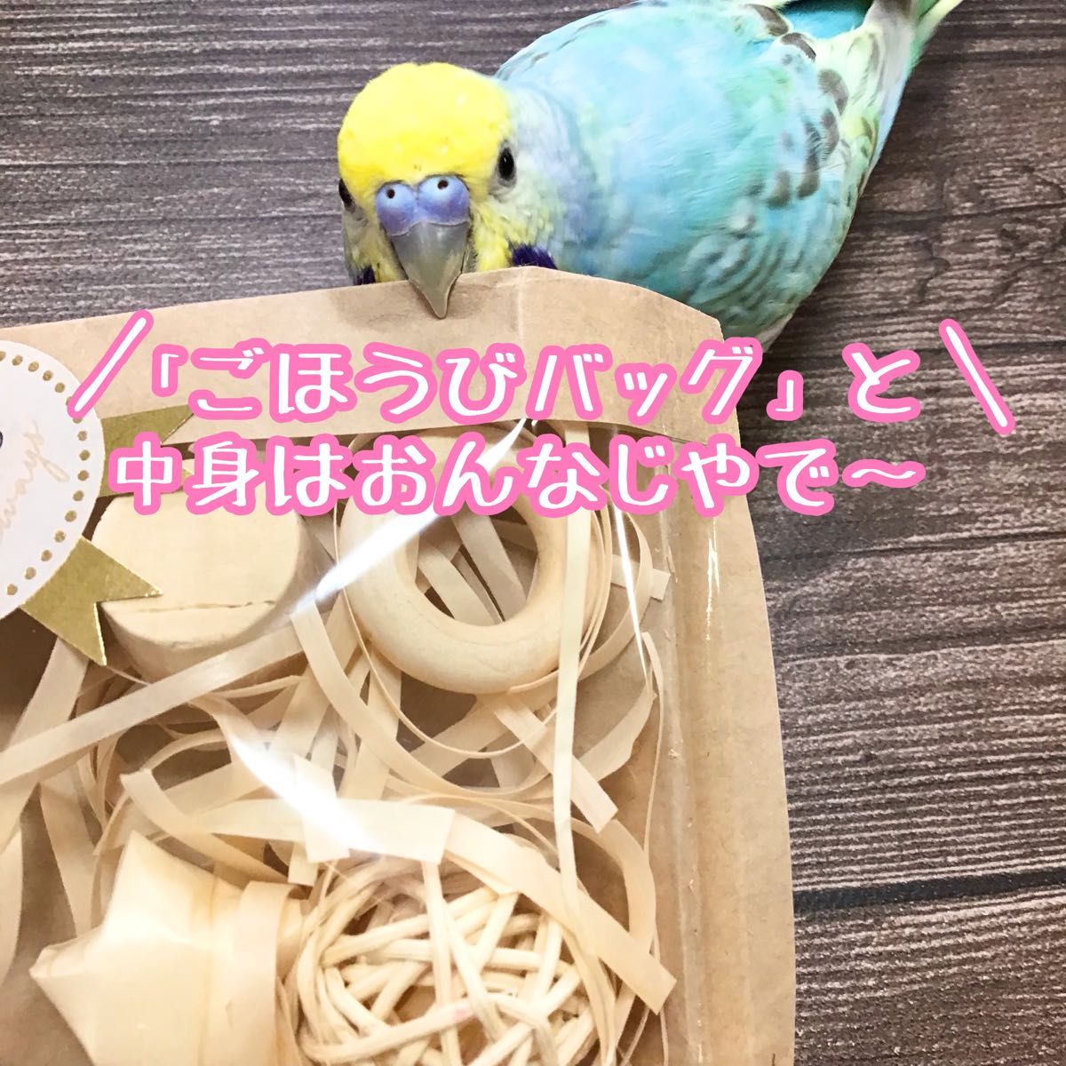 小鳥さんのごほうびBOX★インコや文鳥の小鳥のハンドメイドおもちゃ　バードトイ　フォージング　輪投げ