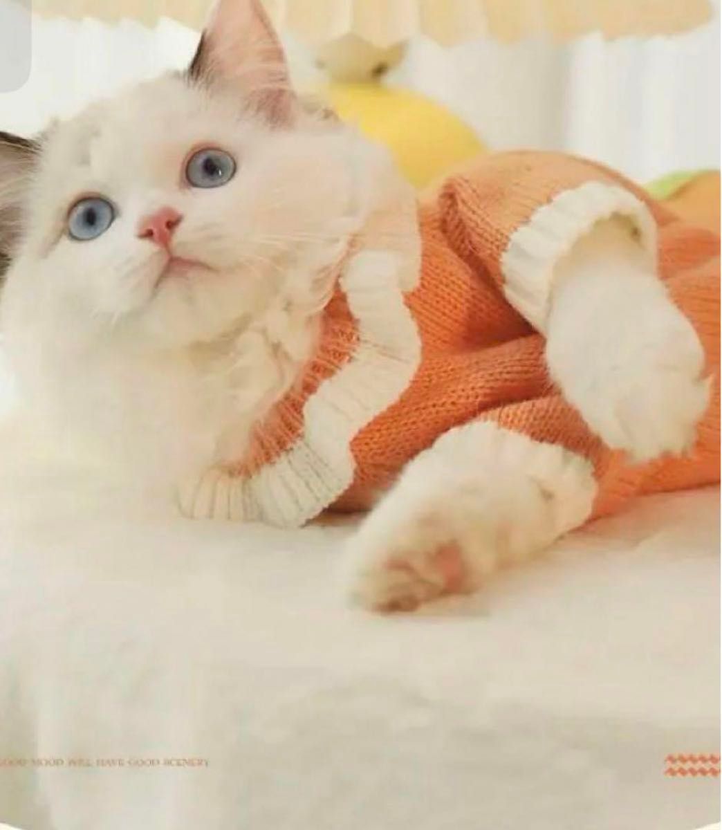 猫ちゃんワンちゃん　お洋服　ニット　オレンジ　Sサイズ犬服猫服ペット