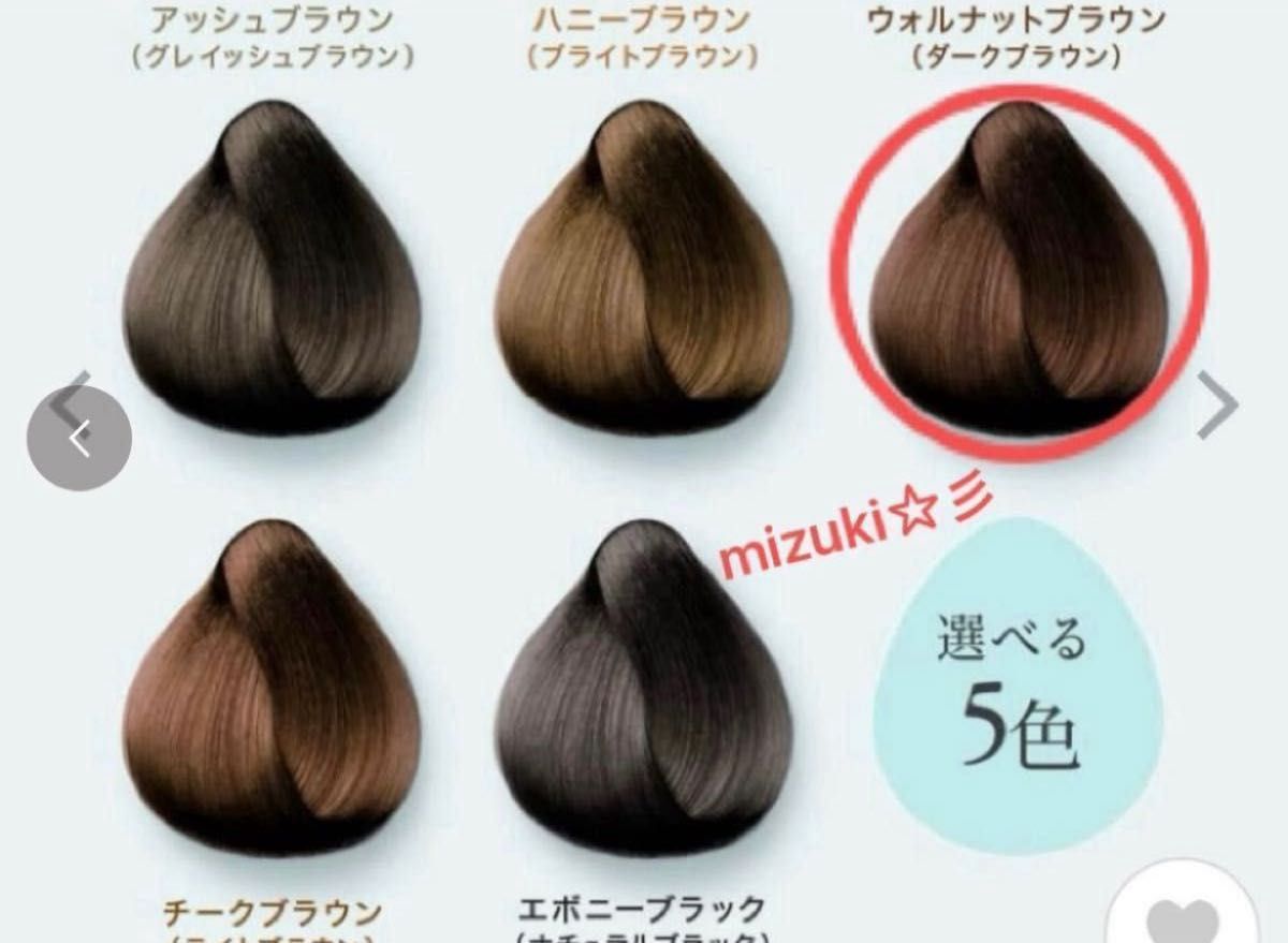LPLP ルプルプ エッセンスカラートリートメント ウォルナット LPLP ルプルプ エッセンスカラートリートメント ウォルナット