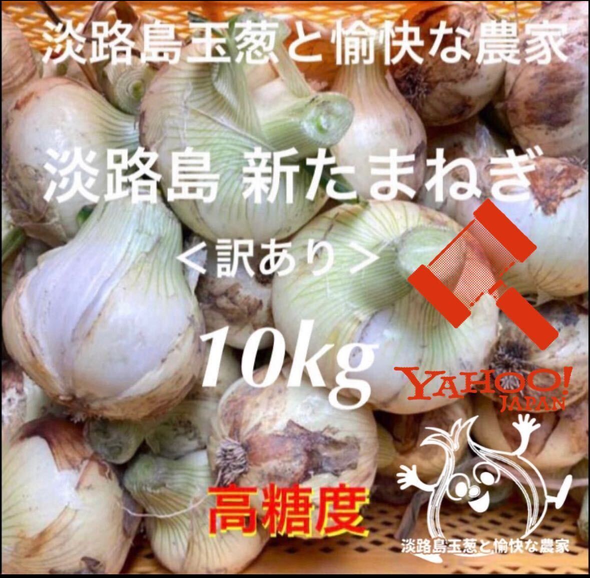 < есть перевод > Awaji Island производство новый шар лук порей 10kg высота сахар раз новый лук новый лук репчатый новый tama лук-батун 