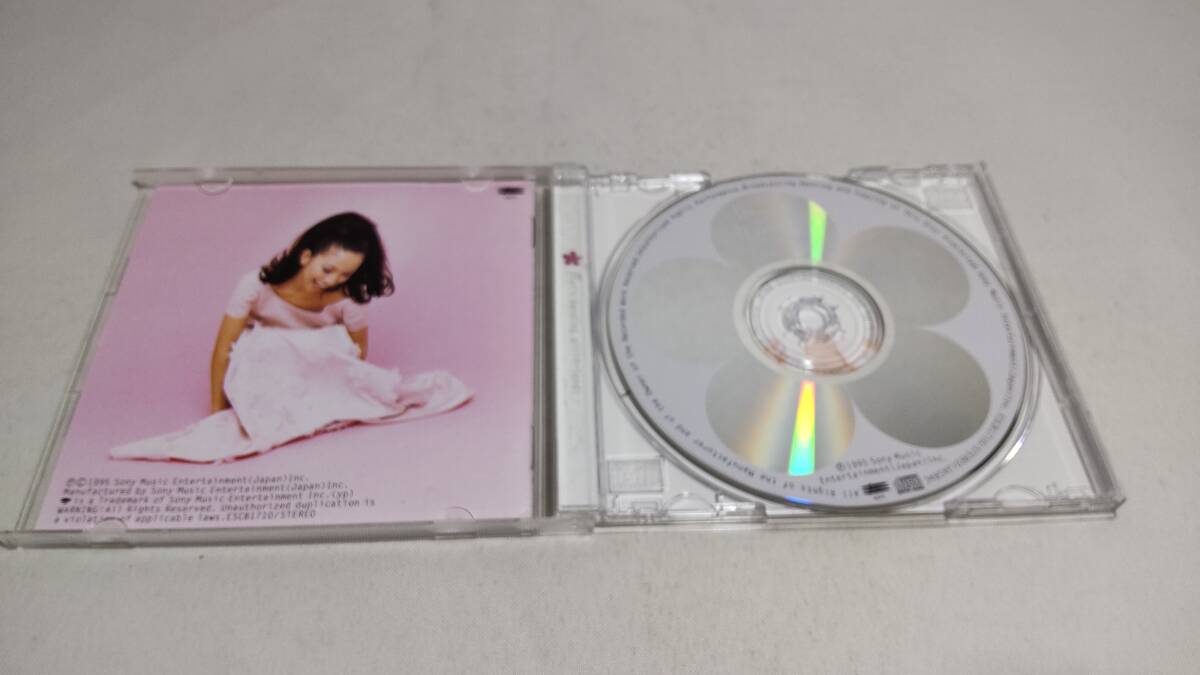 Y3313　 『CD』　beauty and harmony　/　吉田美和 _画像2
