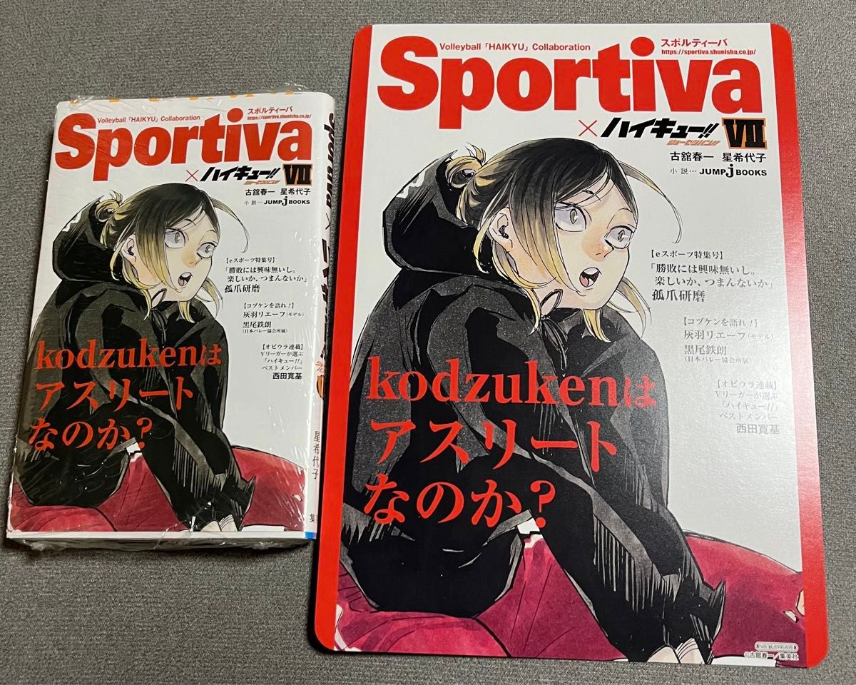 ハイキュー スポルティーバ ビジュアルボード アニメイト Sportivaコラボ全面帯 孤爪研磨 ショーセツバン 小説版 