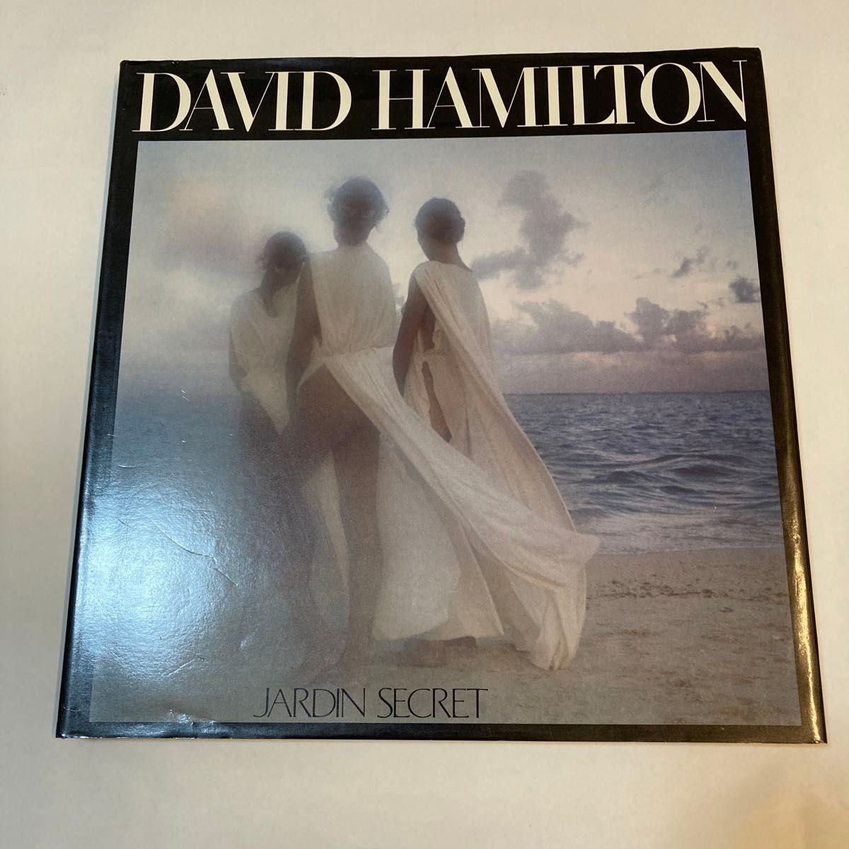 【希少本】1981年 DAVID HAMILTON JARDIN SECRET 写真集