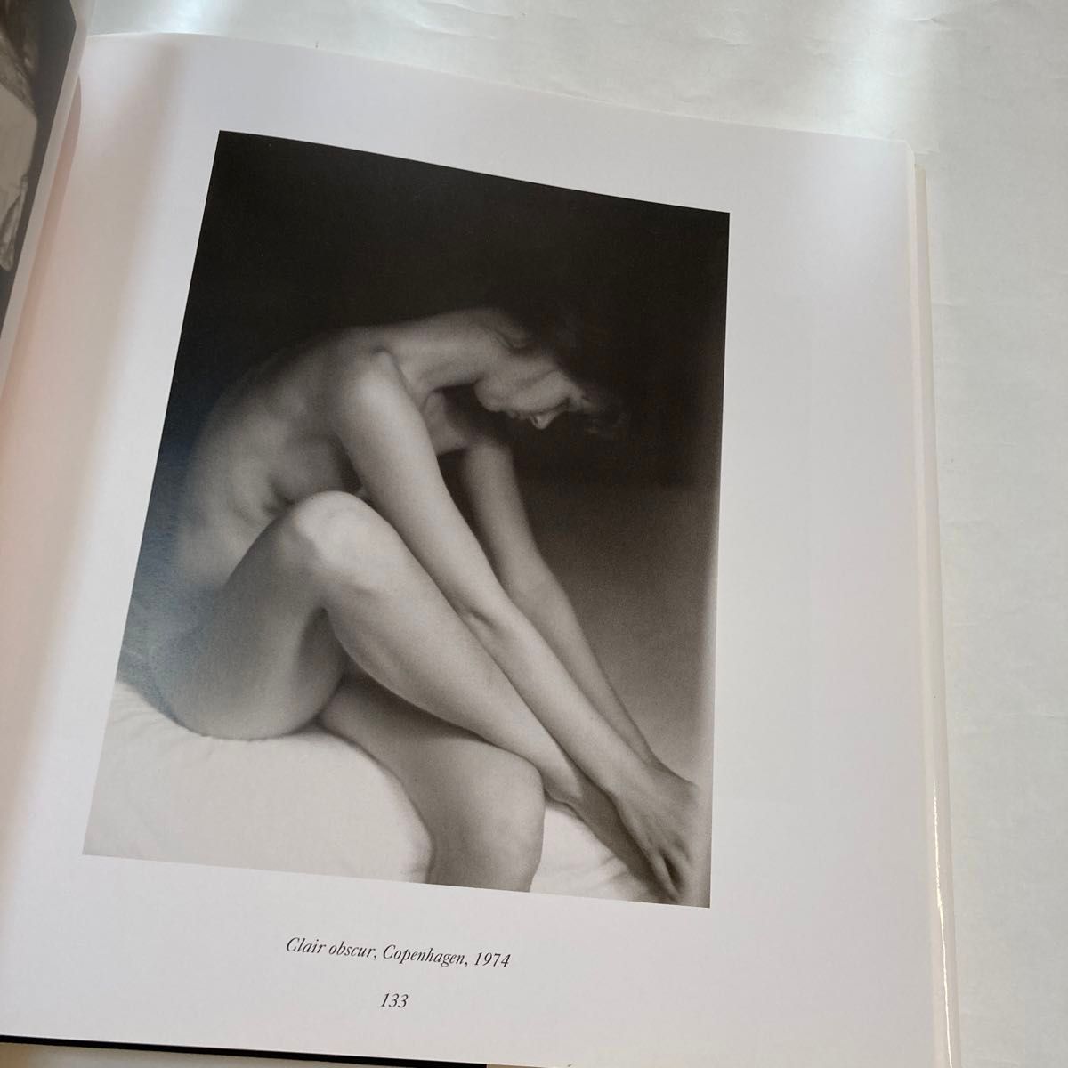 TWENTY YEARS OF AN ARTIST by David Hamilton 写真集 デイヴィッド ハミルトン