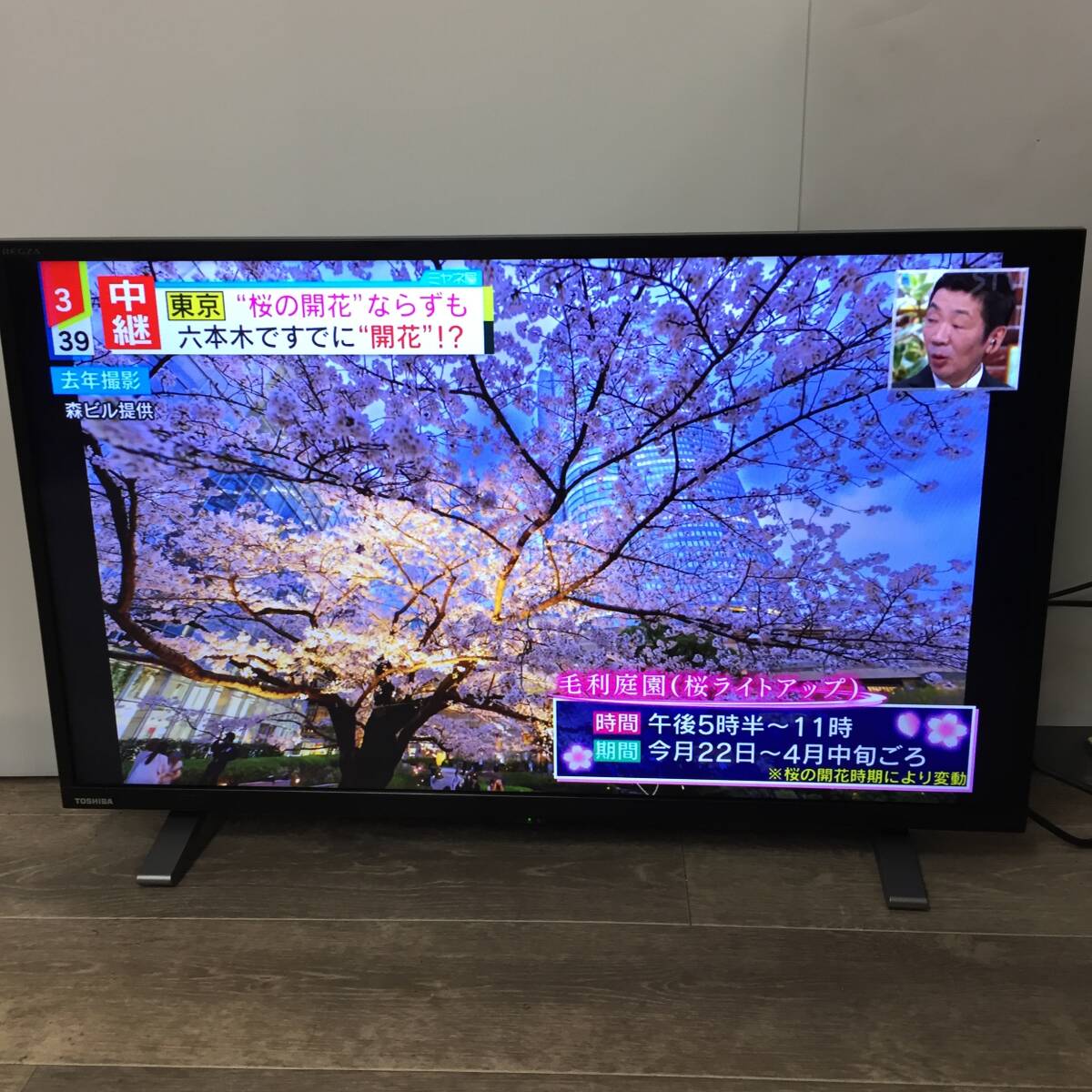 TOSHIBA/東芝 REGZA 32V34 液晶テレビ 32V型 2023年製 動作確認済 24c菊E _画像7