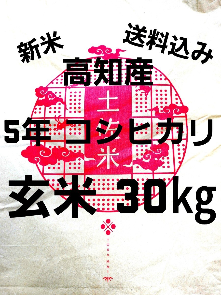 送料込み 令和5年産 高知県産 新米コシヒカリ 玄米30㎏(袋込み)の画像1