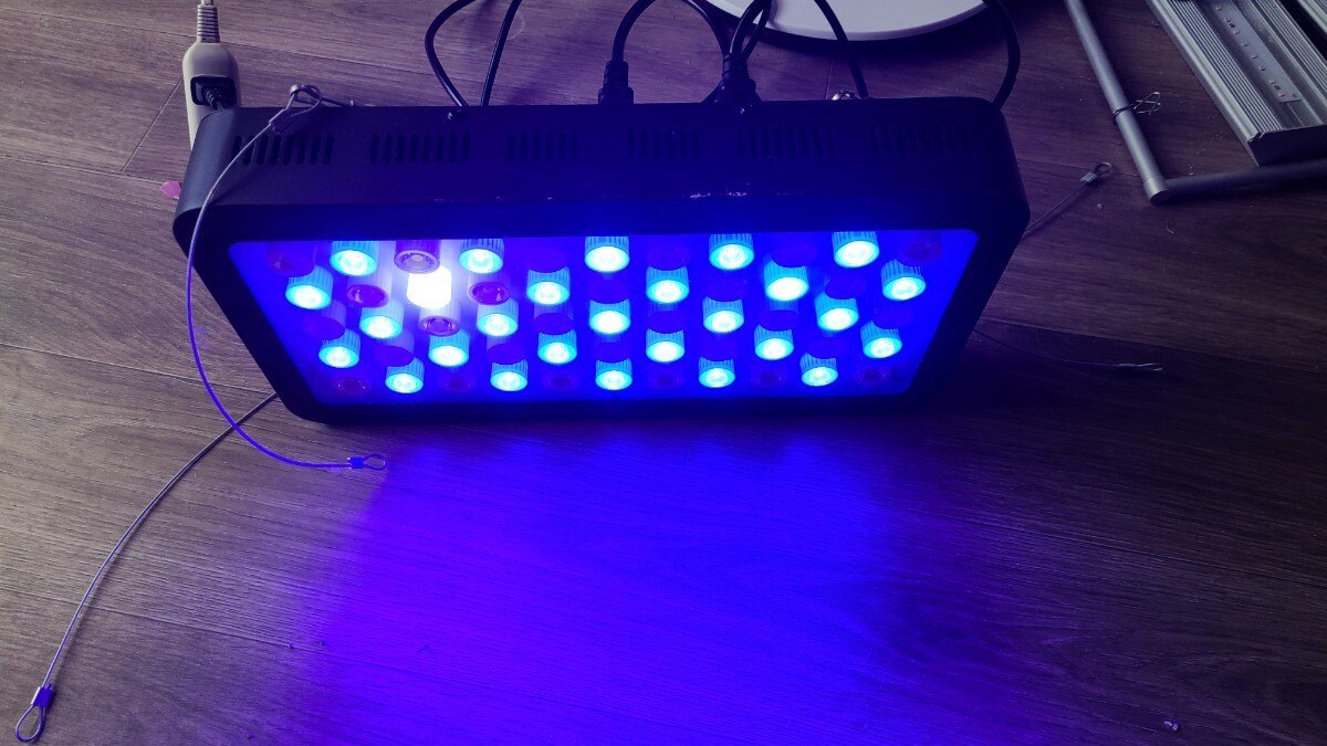 ブラックボックス LEDライト 珊瑚育成用の画像4