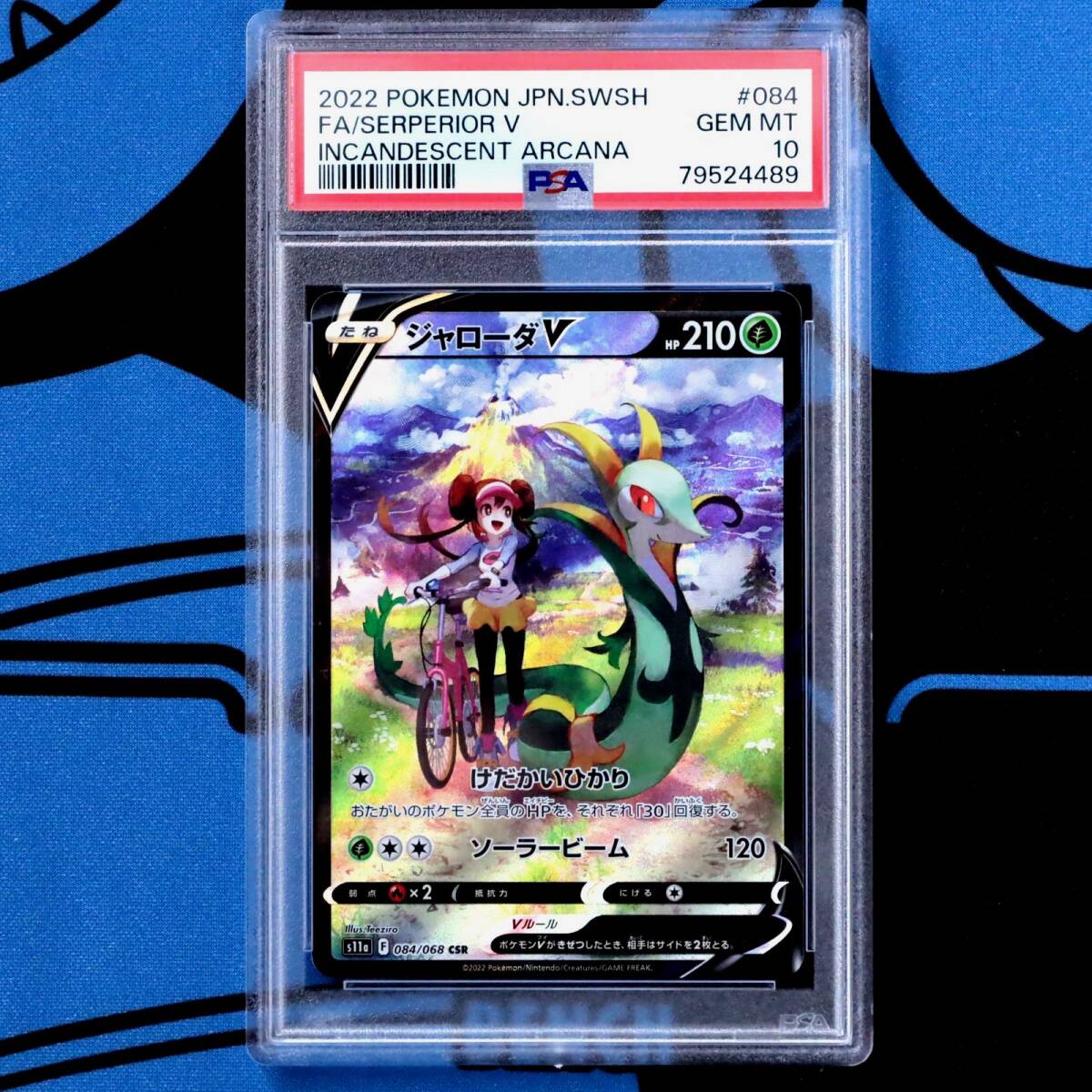 PSA10 ジャローダV CSR Serperior V 白熱のアルカナ Incandescent Arcana メイ Rosa//Charizard Venusaur Blastoise Mew Gengar Pikachu_画像1