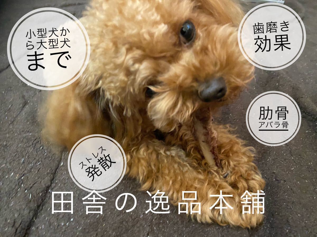 ★ワンちゃんのストレス発散に★鹿の骨 犬用 ガム 100g以上 小型犬〜中型犬用の画像2