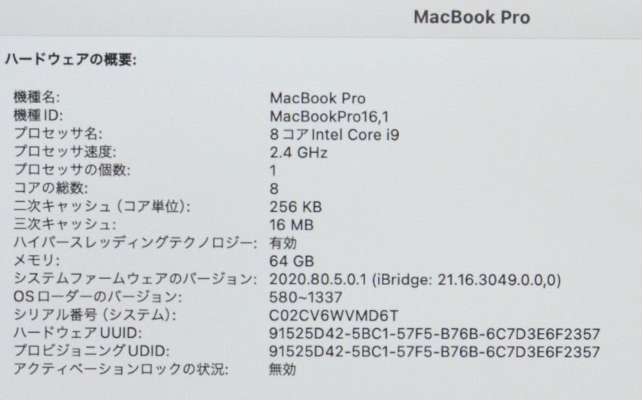 1円～送料無料 決算セール！ハイスペック！MacBook Pro (16インチ, 2019) 2.4GHz Core i9 メモリ:64GB SSD:2TB AMD Radeon Pro 5500M 8GBの画像4
