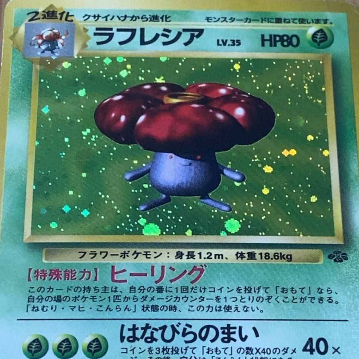 ポケモンカード】 ラフレシア【レア】キラカード ポケカ 旧裏 旧 ポケモンカード】 ラフレシア【レア】キラカード ポケカ 旧裏 旧