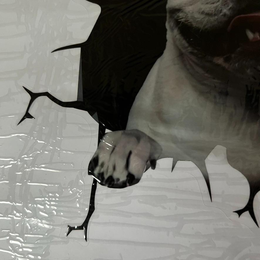 フレンチブルドッグ フレブル カーステッカー シール 車 犬 いぬ イヌ dog  ワンちゃん わんちゃん 3D ペット 動物 かわいいの画像8