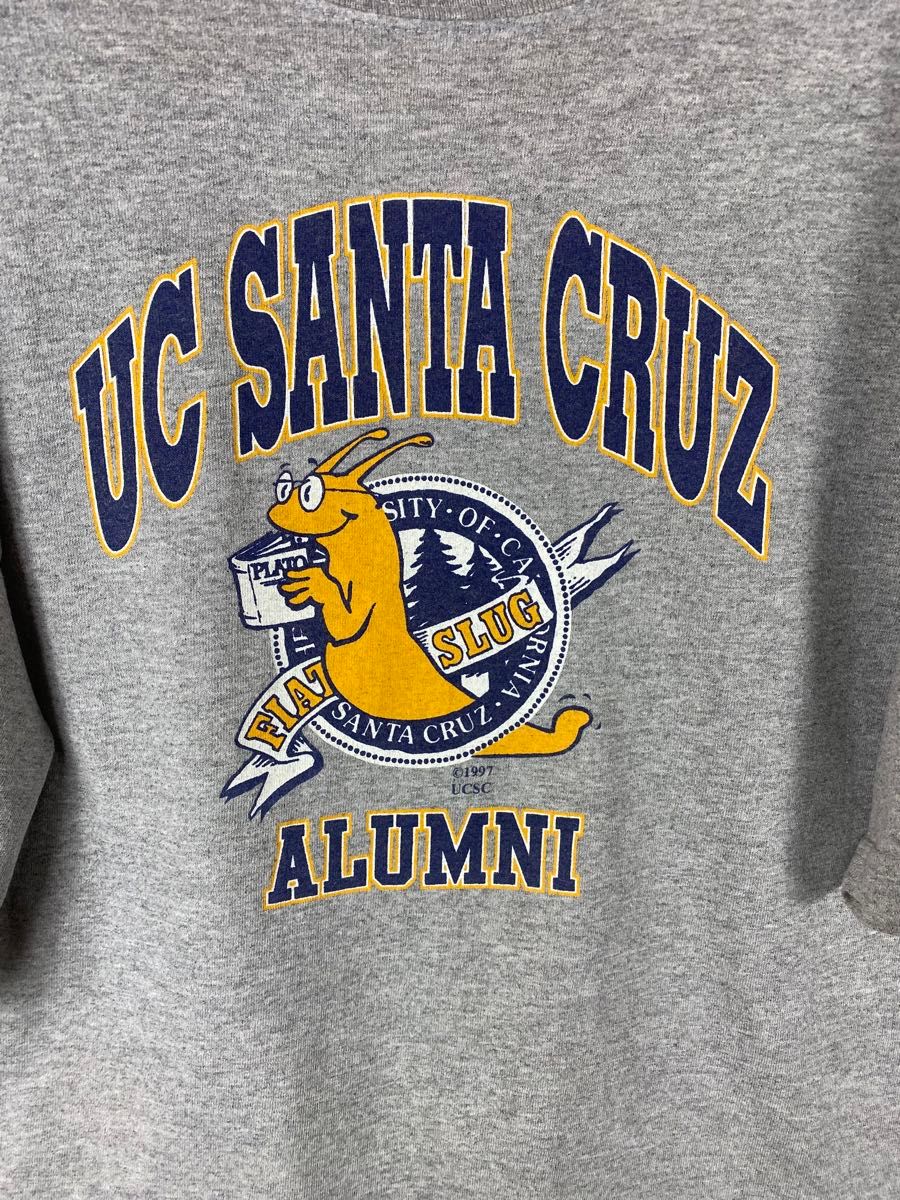 USA 古着　GILDAN  UC SANTACRUZ  プリントTシャツ Lサイズ