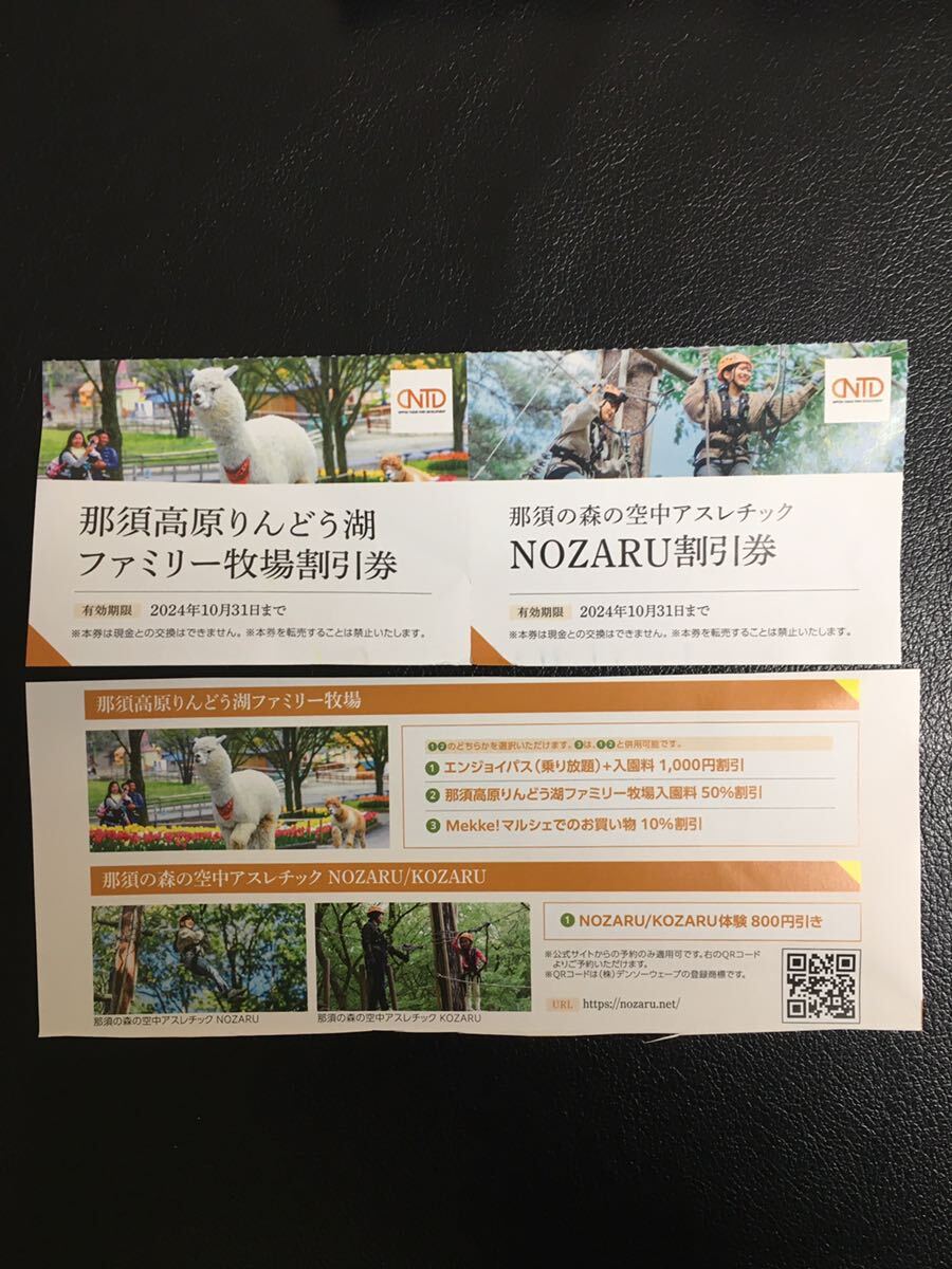 日本駐車場開発の株主優待券 那須りんどう湖 NOZARU割引券 各1枚  速達対応ありの画像1
