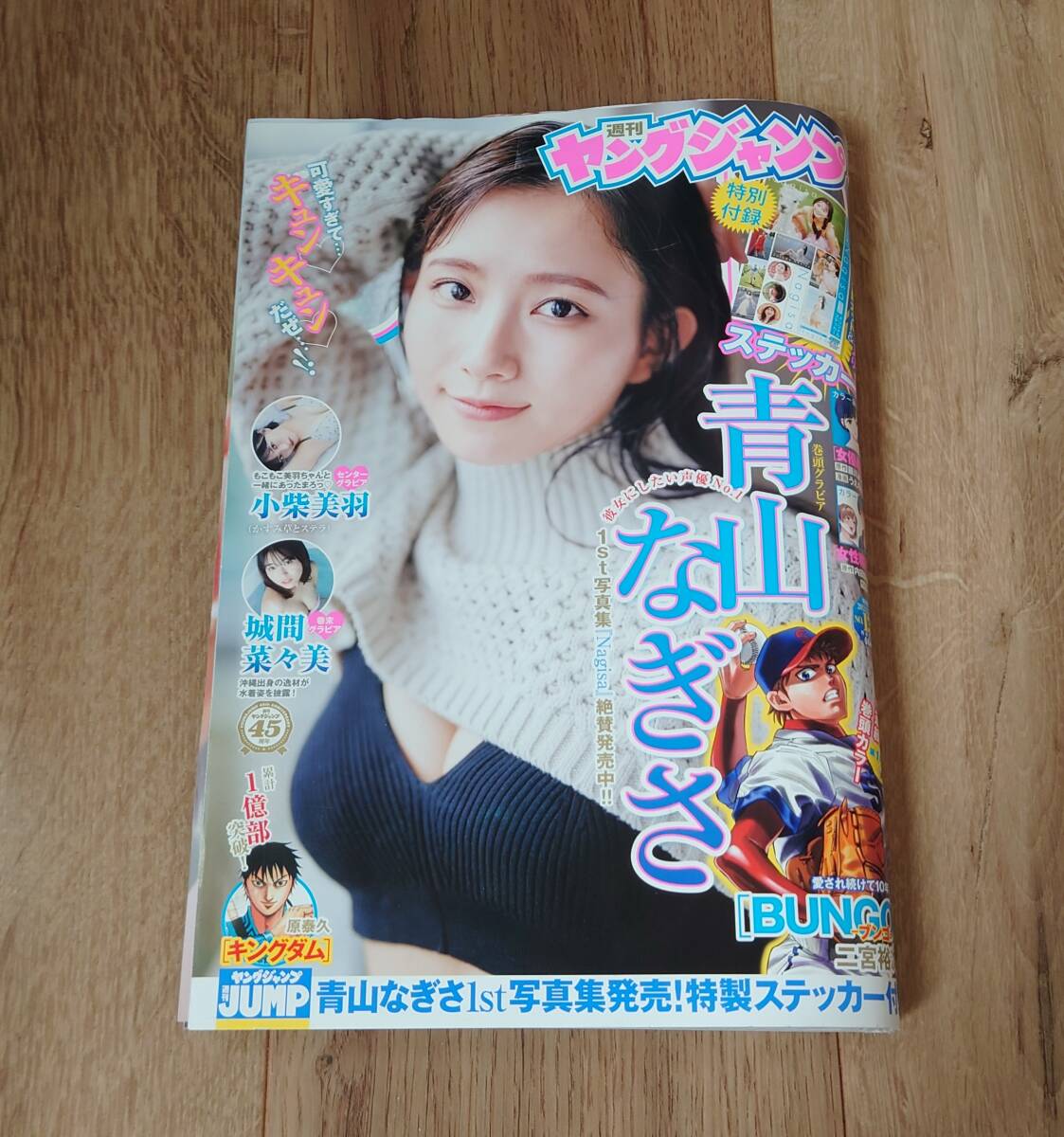 週刊 ヤングジャンプ　２０２４年　１３号　青山なぎさ　付録 応募券なし_画像1