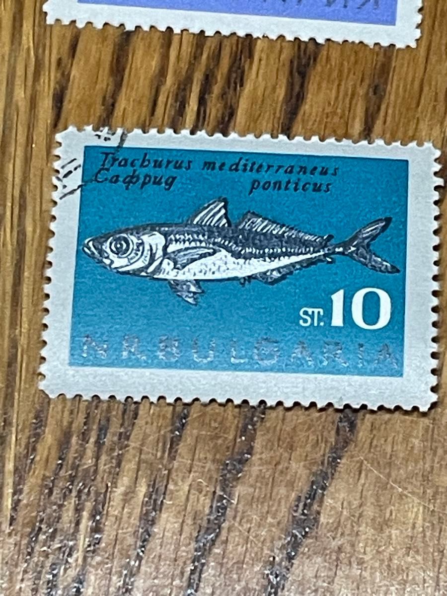 古切手　1965年6月発行　ブルガリアの切手「黒海の魚」6枚コンプリート　消印有　海外ビンテージ切手