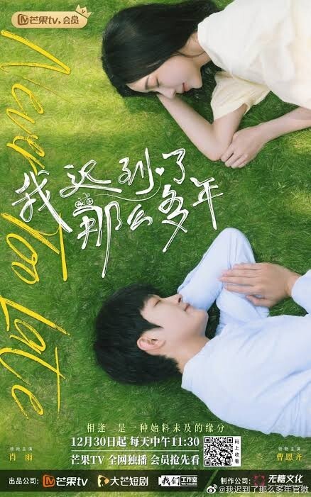 Never Too Late（正常字幕）「トンビ」中国ドラマ「supe」 シャオ・ユー、ヴィンセント・カオ　Blu-ray _画像2