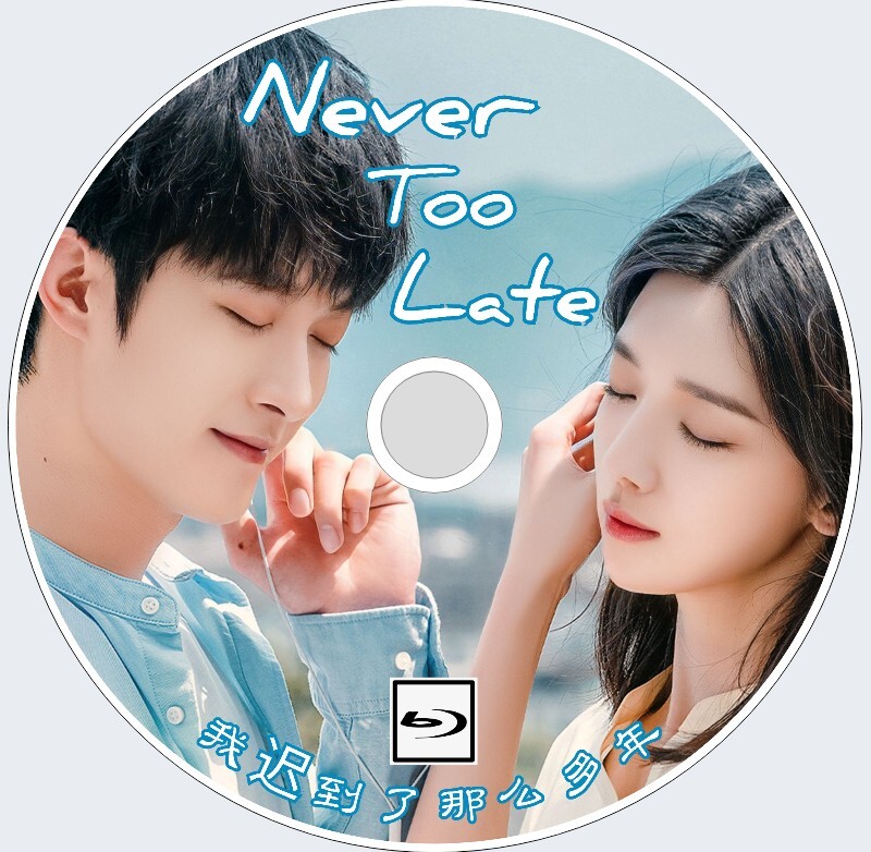 Never Too Late（正常字幕）「トンビ」中国ドラマ「supe」 シャオ・ユー、ヴィンセント・カオ　Blu-ray _画像1