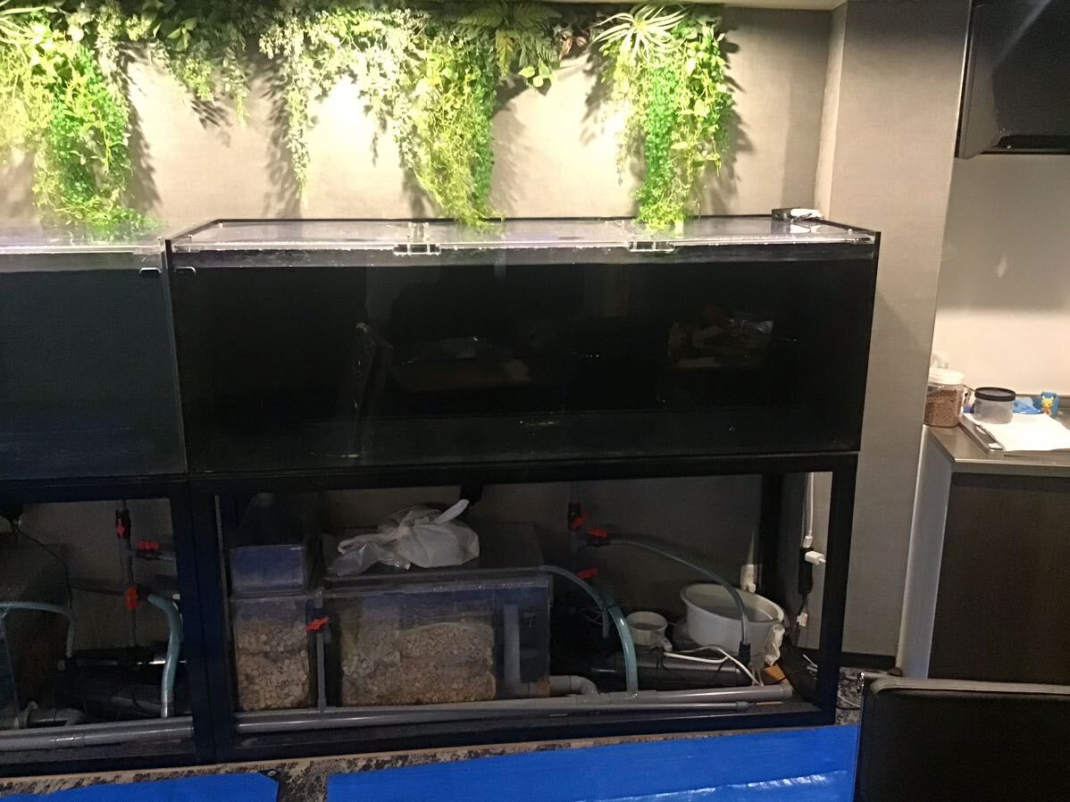  that aquarium ho nto. beautiful. four surface black board 1800/600/600H over F aquarium board thickness 12 millimeter stone chip .. prevention cover piping complete set pump .. layer all part attaching 