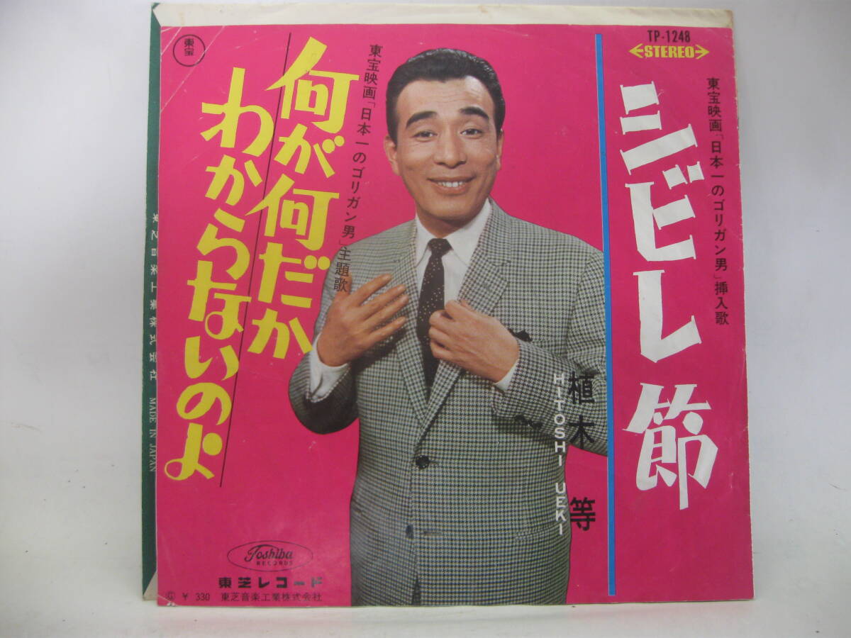 【EP】　植木　等／シビレ節　1966．「日本一のゴリガン男」_画像1