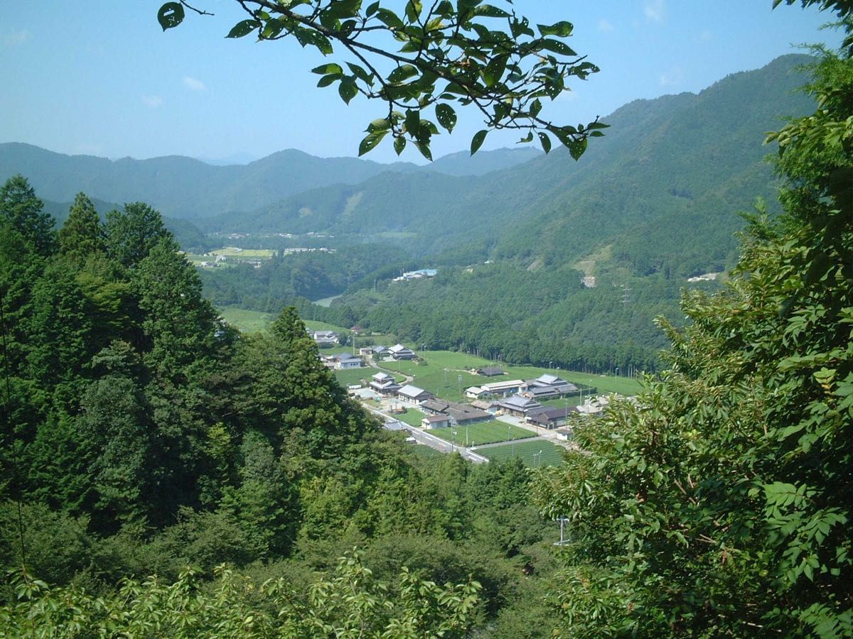 こだわりのお茶屋さんの上青柳1ｋｇ　②■飲みやすい★田舎で良く飲まれているお茶★ 懐かしい味