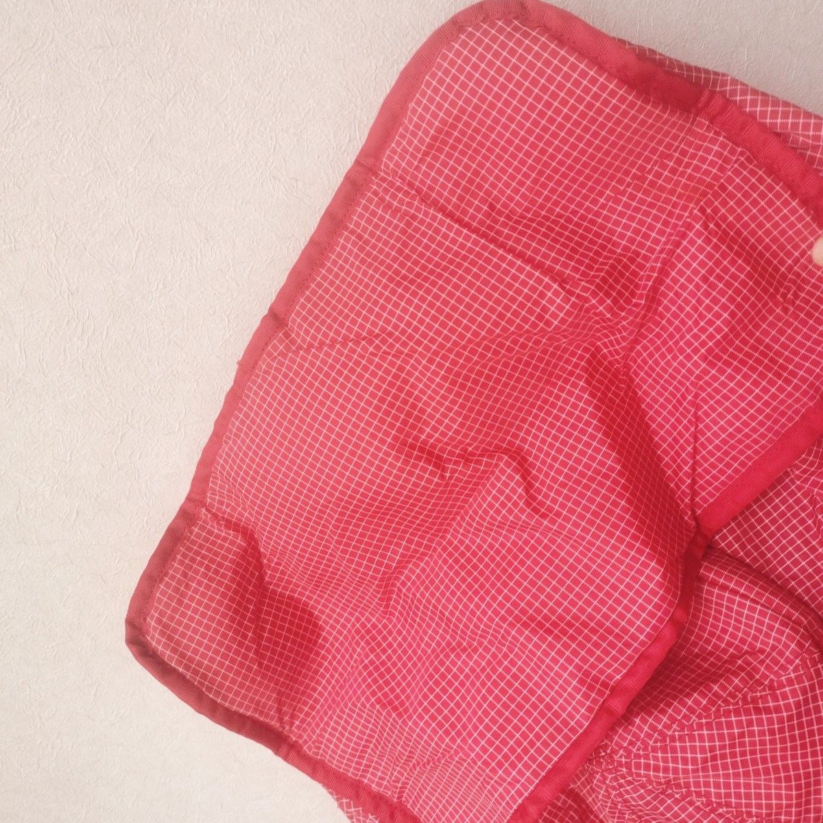 【未使用】東京ディズニーランド公式 ショッピングバッグ 赤チェック ミッキー チャック付き 大型連休に重宝
