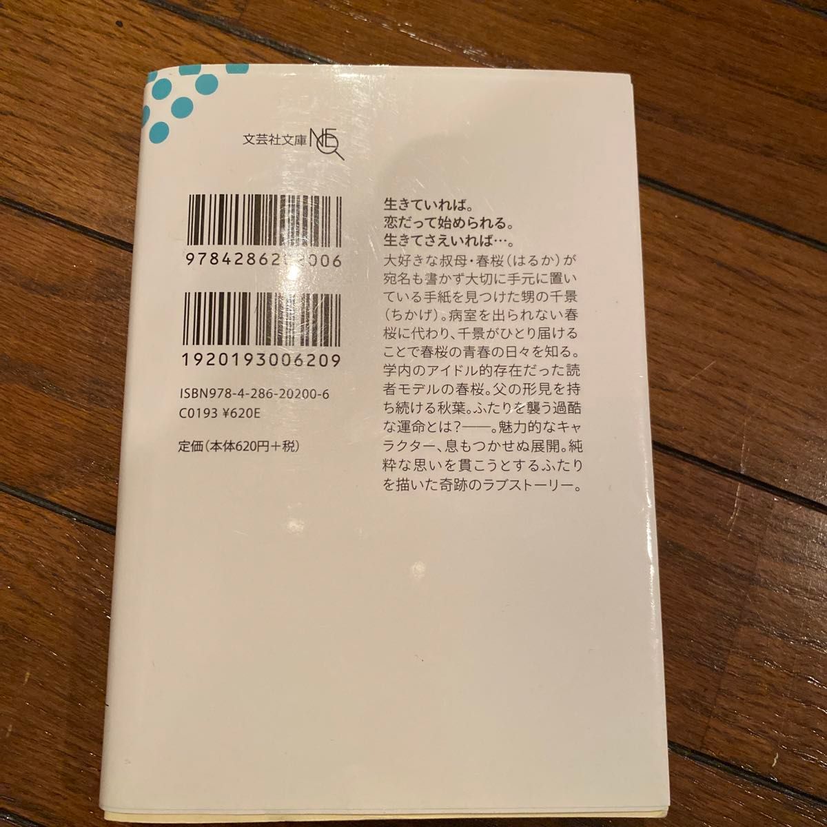 生きてさえいれば （文芸社文庫ＮＥＯ　こ５－２） 小坂流加／著