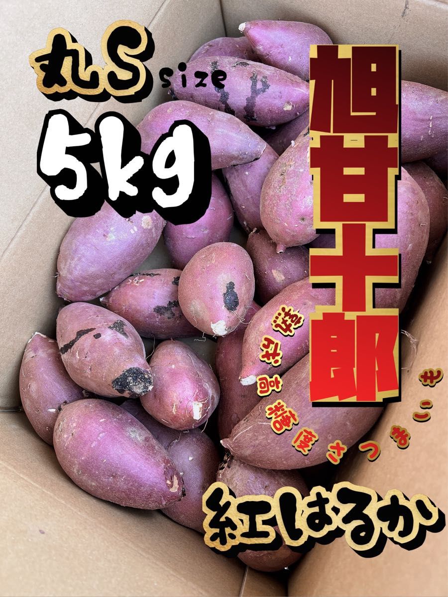 茨城県産 旭甘十郎紅はるか [丸]Sサイズ 約5kg 長期熟成さつまいも