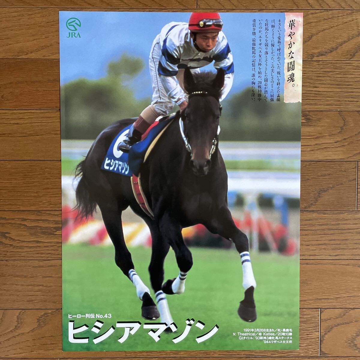 Yahoo!オークション - JRA ヒーロー列伝ポスター NO.43 ヒシ Yahoo!オークション - JRA ヒーロー列伝ポスター NO.43 ヒシ