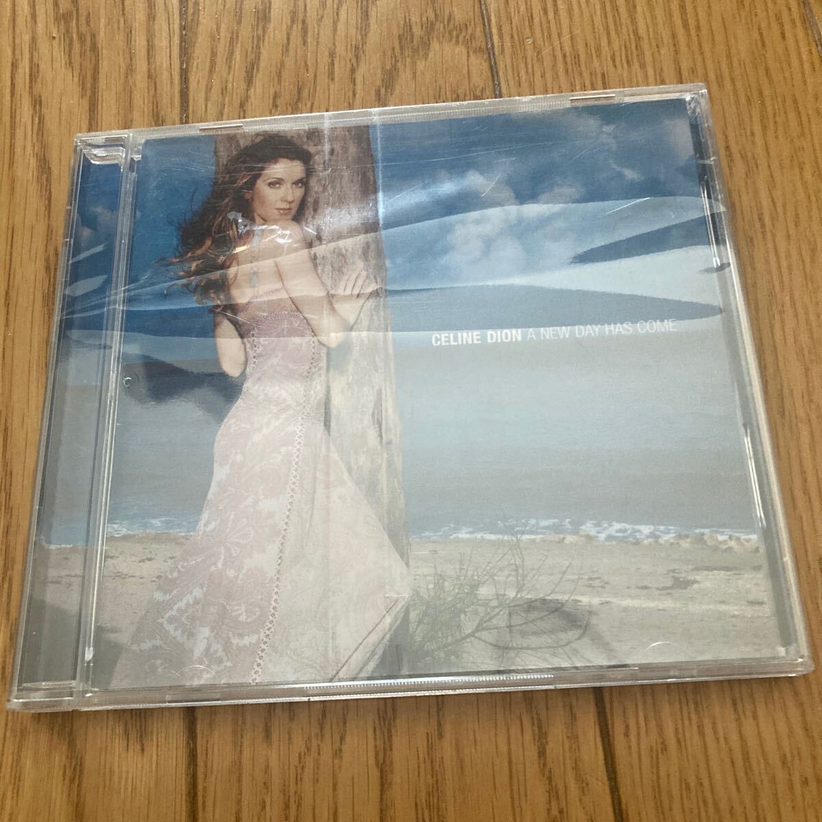 CELINE DION セリーヌデュオン A NEW DAY HAS COME CD 