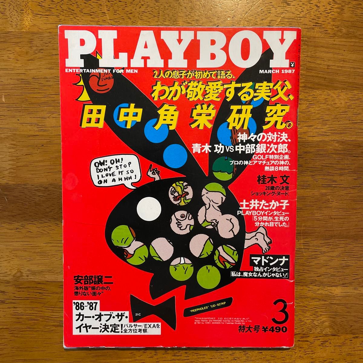 雑誌「PLAYBOY」日本版、1987年3月号、桂木文グラビア