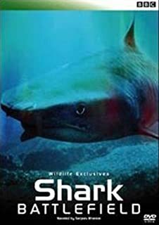 【中古】《バーゲン30》Shark Battle field シャーク・バトルフィールド b42253【レンタル専用DVD】の画像1