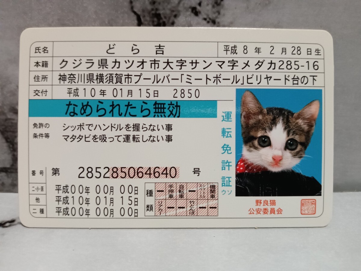 なめ猫 　免許証　ニャン太郎 　又吉　どら吉　チビスケ　当時物_画像4