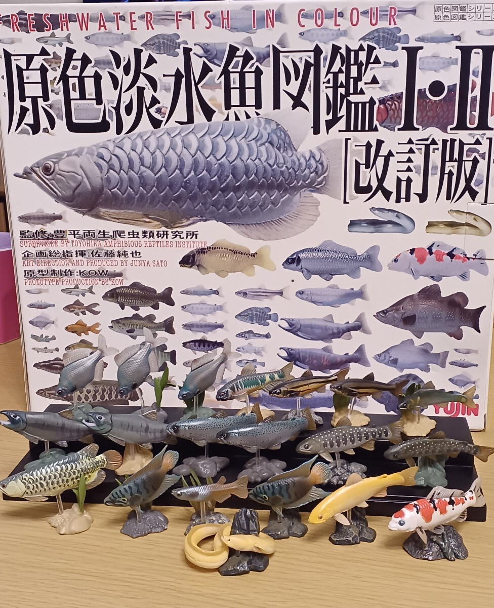 Yujin 原色淡水魚フィギュア　20体　格納ブック付(おまけ)_画像1