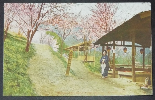 ☆☆絵葉書・戦前・茶店・吉野山・上千本の桜・絵はがき☆525_画像1