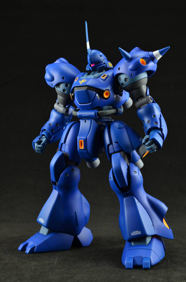 MG MS-18E KAMPFER 全塗装・完成品　ケンプファー_画像3