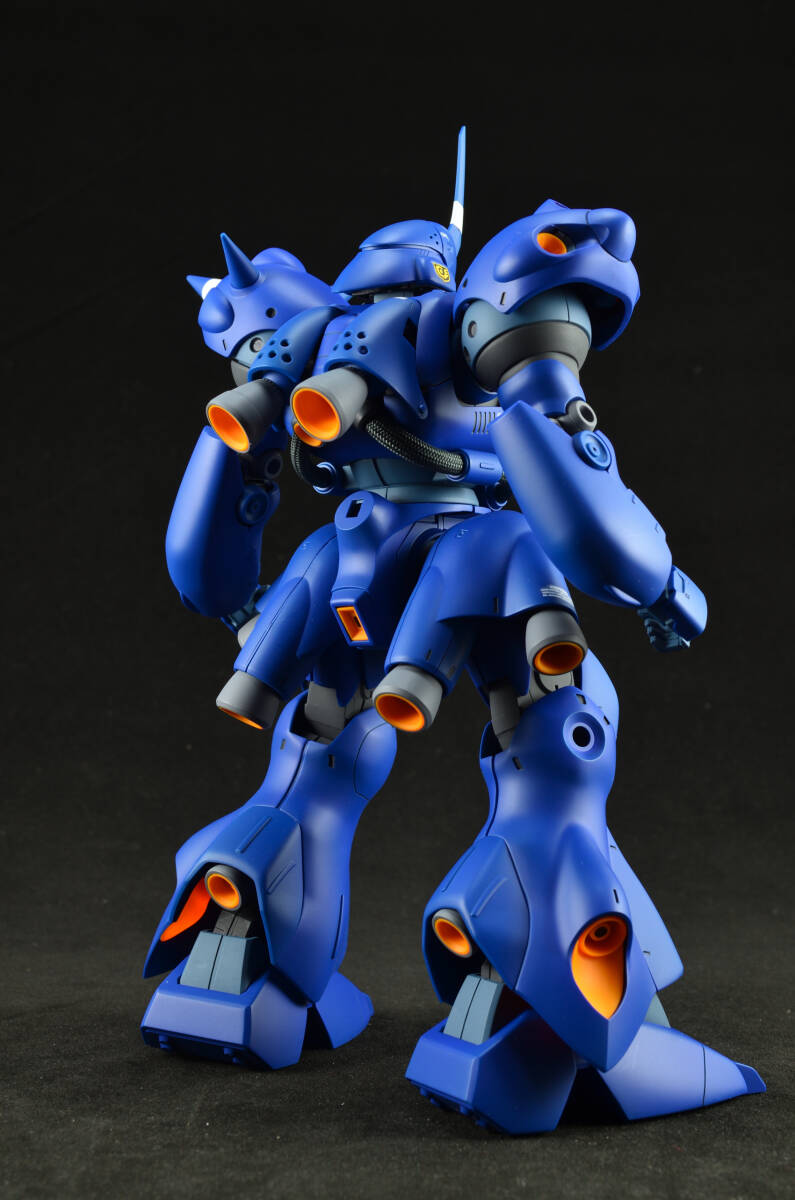 MG MS-18E KAMPFER 全塗装・完成品　ケンプファー_画像4