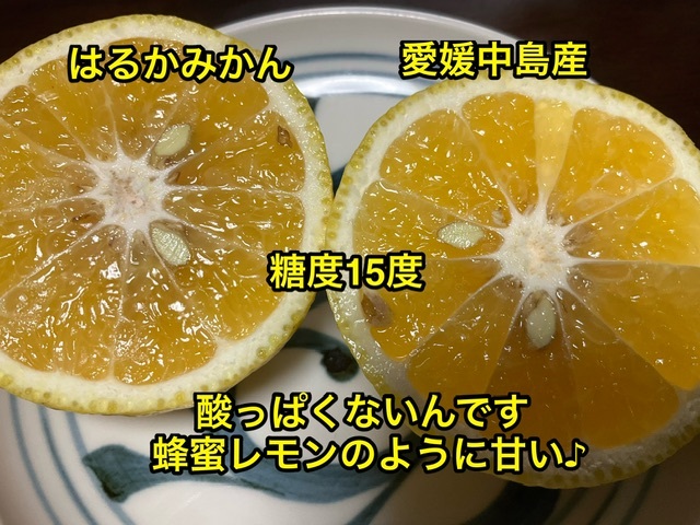 Общенациональная бесплатная доставка Haruka Oranges 3 кг коробки около 3,5 кг, включая коробки ⑦