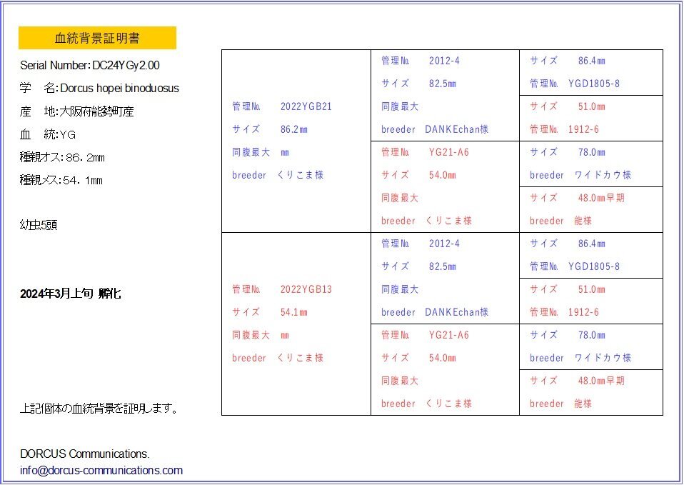 能勢YGオオクワガタ　幼虫５頭！（86.2×54.1）№２_画像2