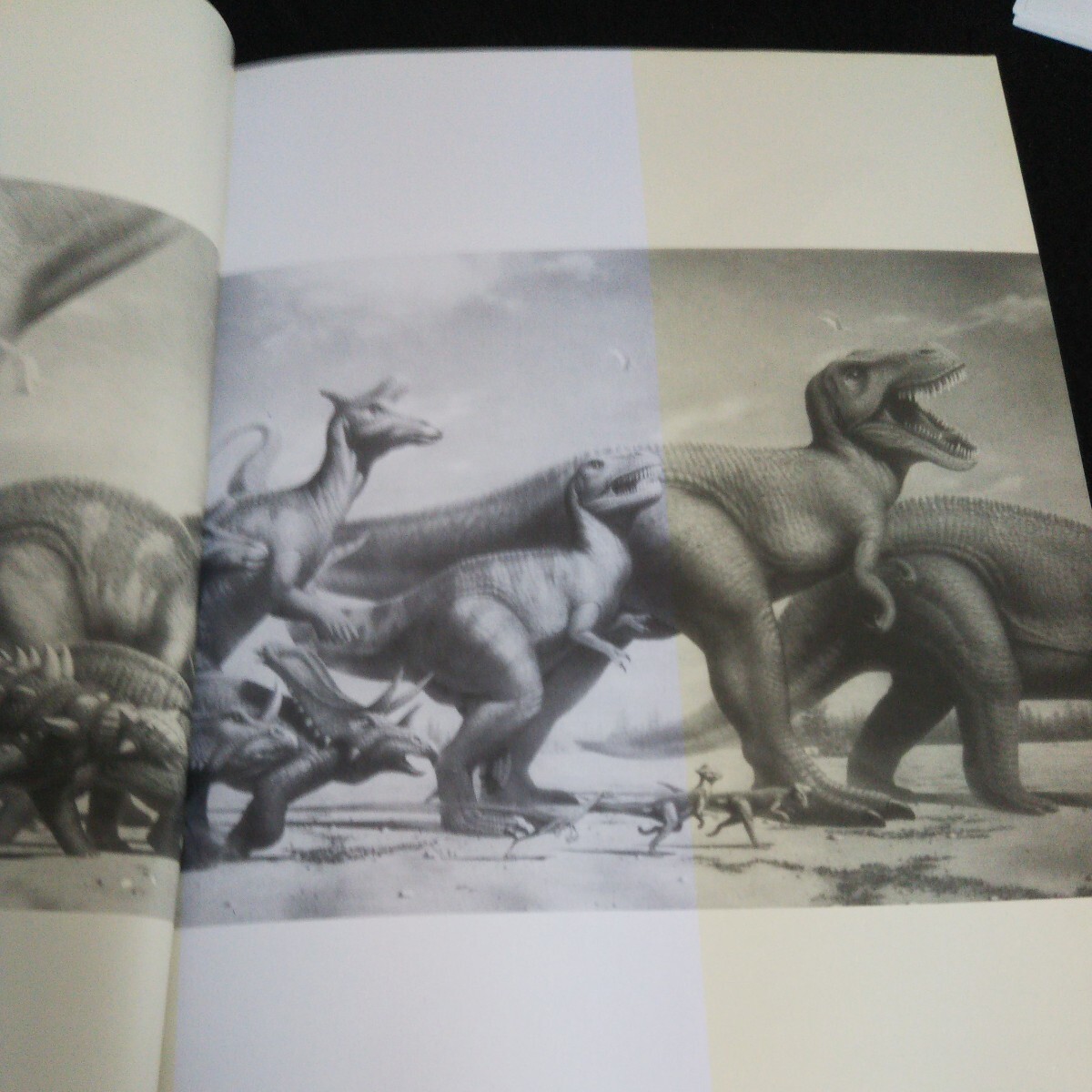 c-056 大恐竜博ガイドブック 1995年発行 ※14_画像3