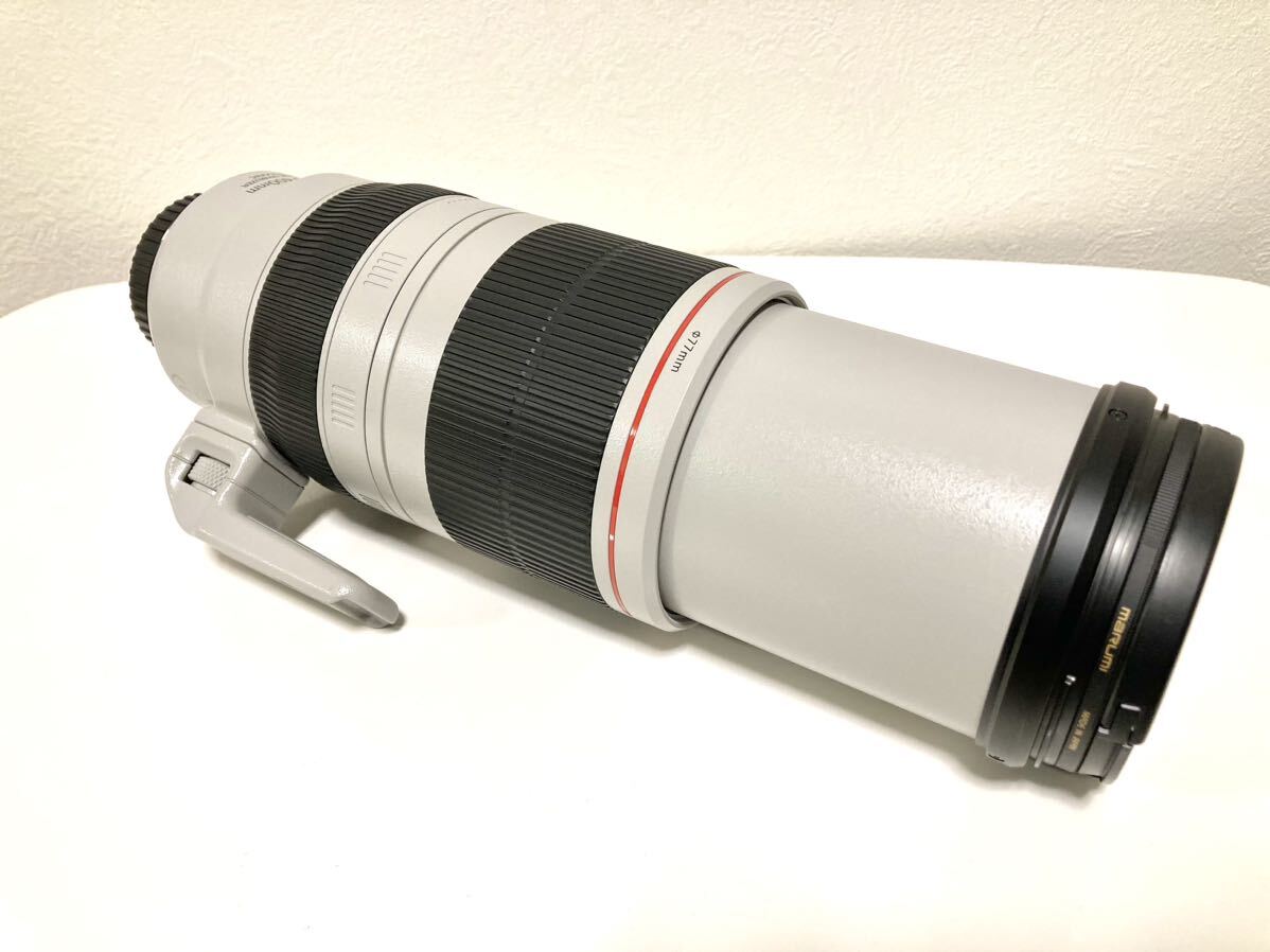 Canon EF100-400F4.5-5.6L IS Ⅱ USM 美品_画像7