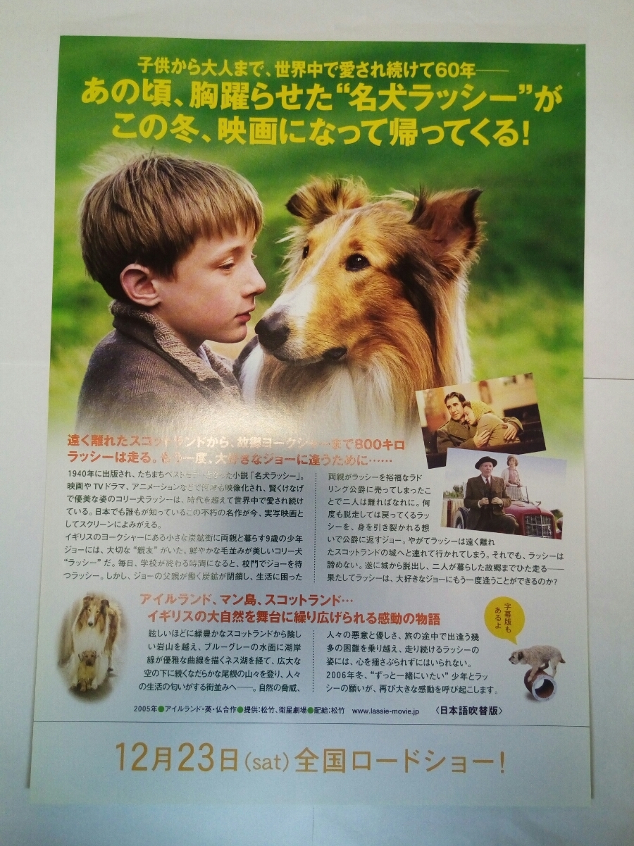 即決☆送料無料☆ダンボール補強・防水対策発送☆名犬ラッシー☆映画☆チラシ☆1枚☆フライヤー☆ワンオーナー品☆_画像2