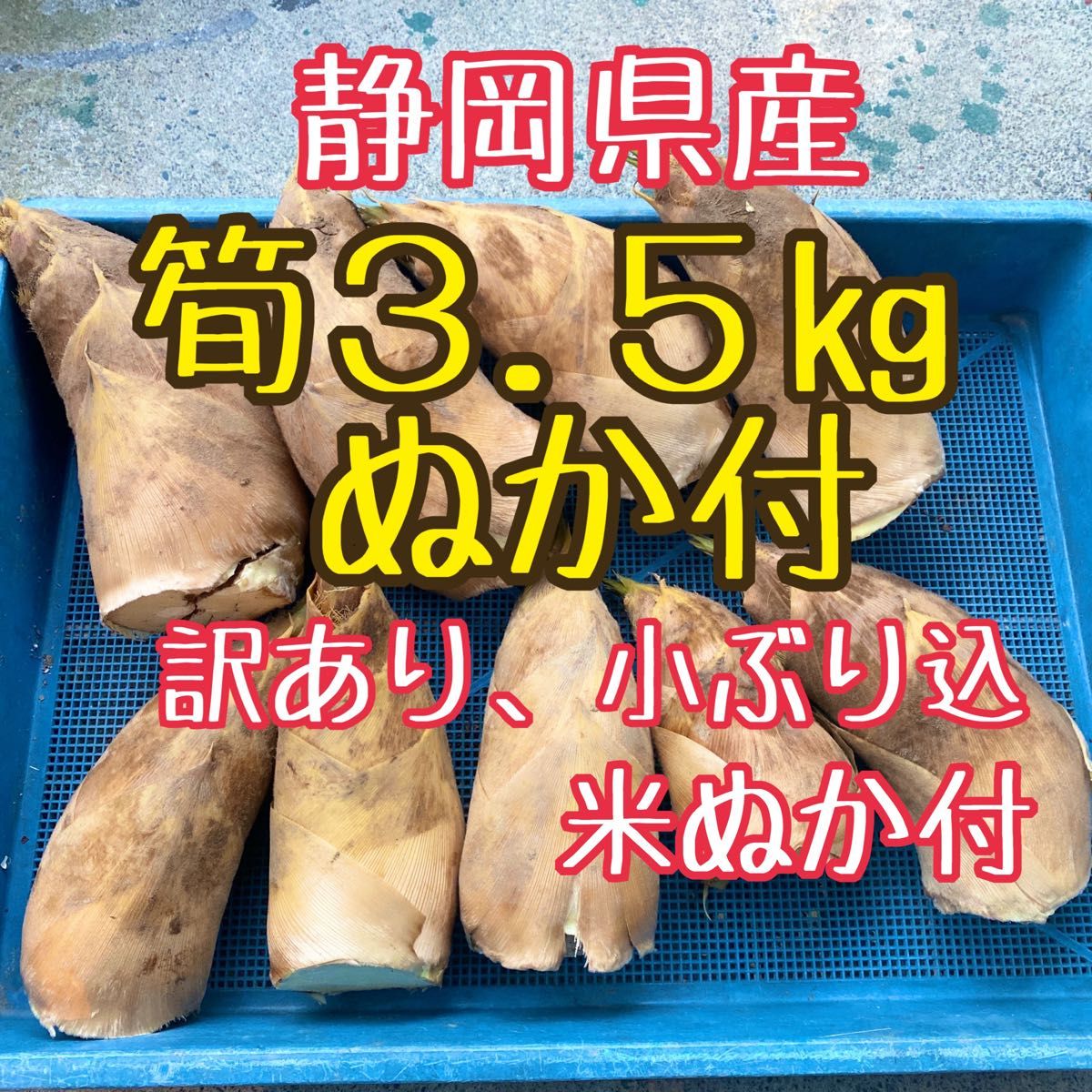 静岡県産 たけのこ4㎏ 訳あり込 米ぬか付 - 野菜