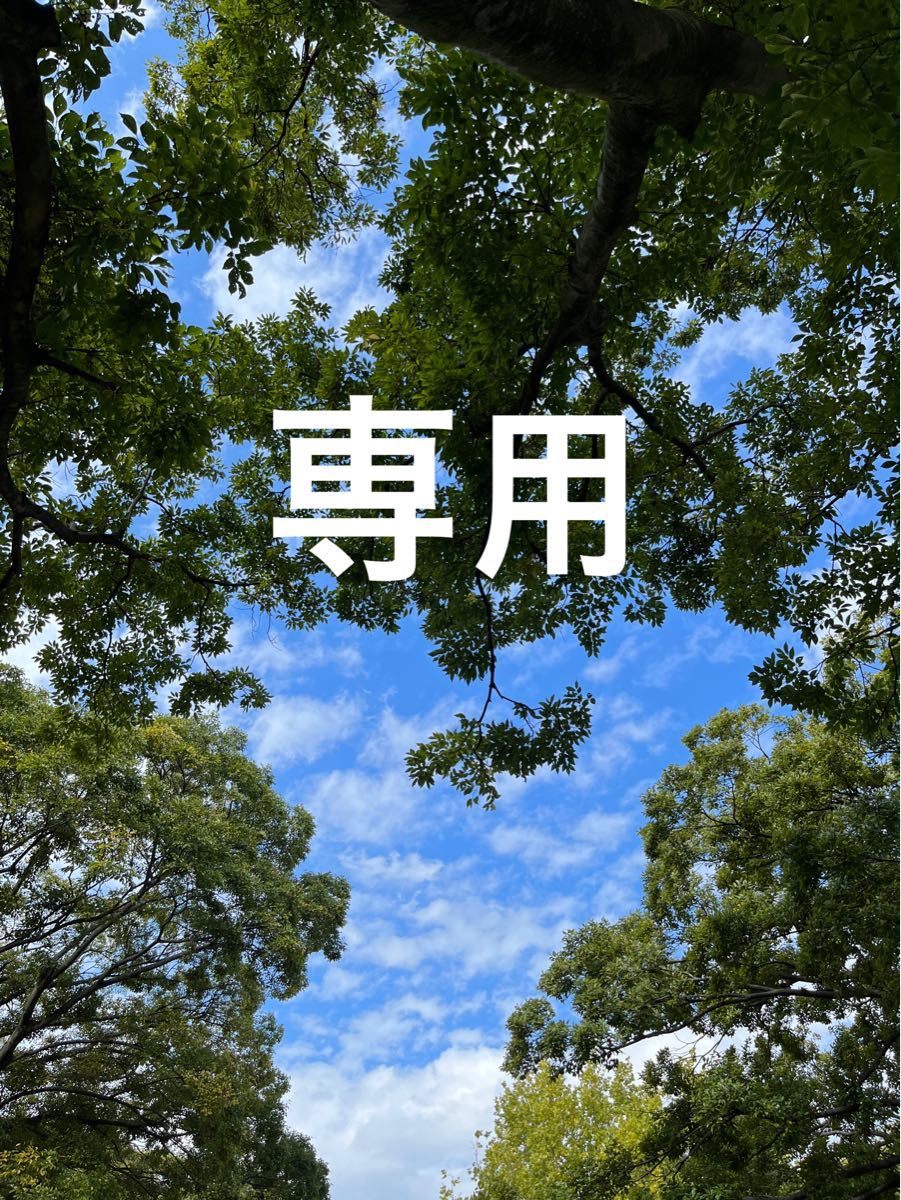 フェイラー × 阪急限定 スヌーピー リビングウィズミュージック フェイラー × 阪急限定 スヌーピー リビングウィズミュージック