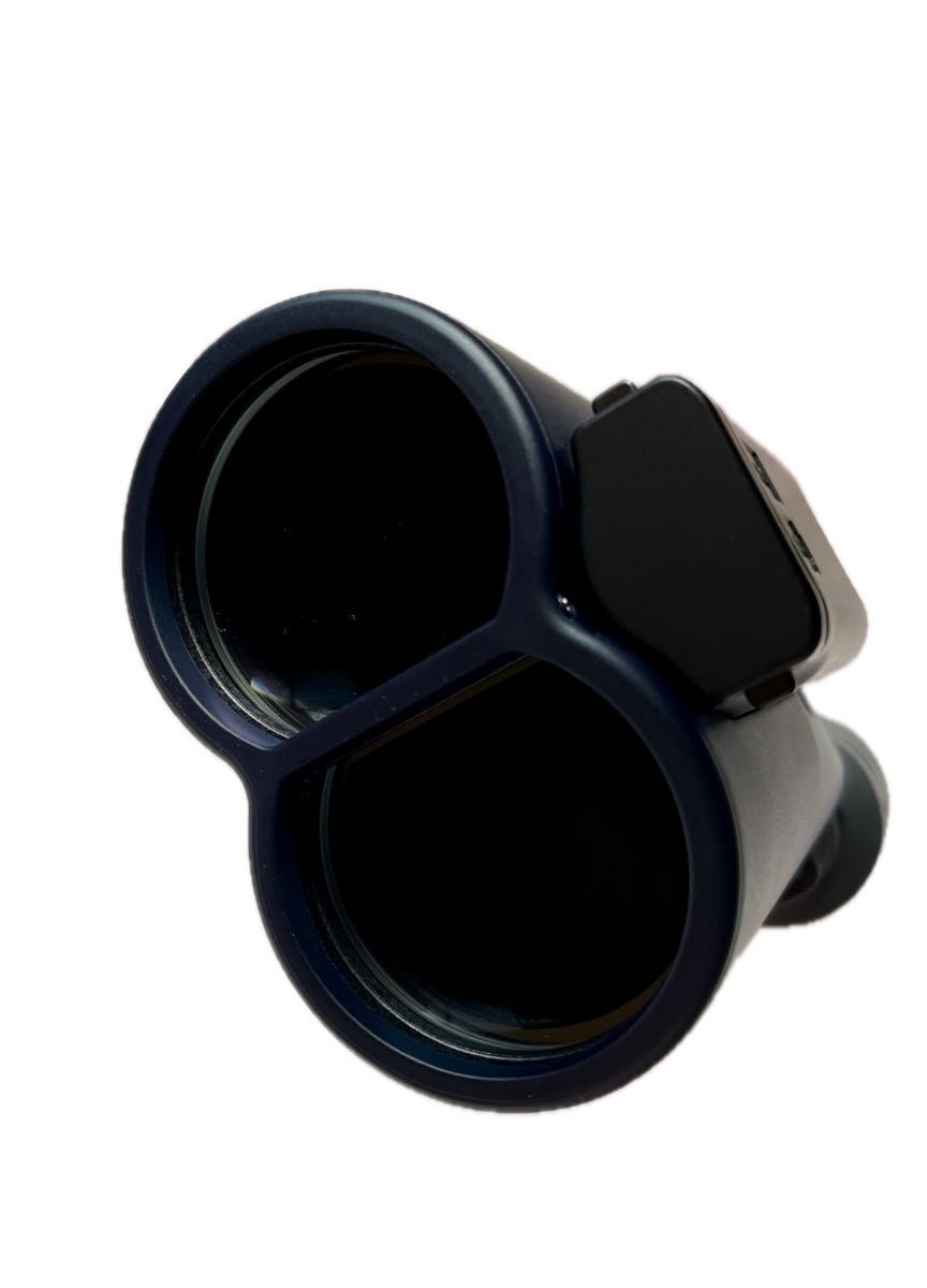 防振双眼鏡 14倍 Vixen ATERA II H14×42WP(ブラック)ビクセン 